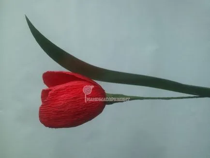 Mesterkurzus saját kezűleg egy csokor tulipán