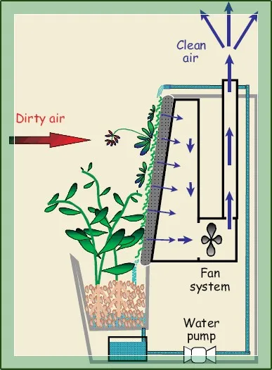 Atelier de plantare verticală - perete viu