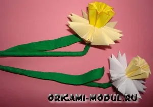 origami modular Narcissus modul de a face