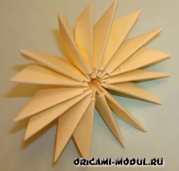 origami modular Narcissus modul de a face