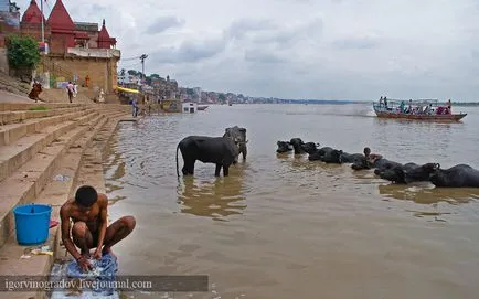 Acest India - Varanasi și râul sacru Gange, o călătorie interesantă mondial, turism, psihologie,