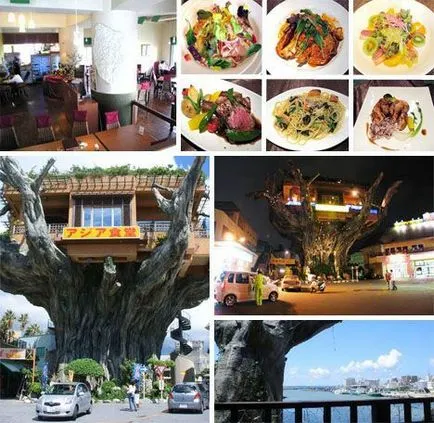 Необичайни ресторанти в света в началото на 15, интересно пътуване