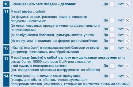 Проба за това как да попълните митническа декларация за включването на САЩ в летището, Ню Йорк