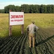 nuanțe de bază de achiziționarea și vânzarea cotei de teren agricol