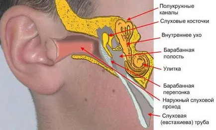 Отит на средното ухо при деца причини, симптоми и лечение