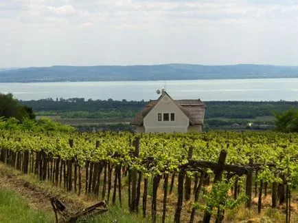 Recreere și cele mai bune statiuni ale lacului Balaton (Ungaria) - Ghid de călătorie - lumea este frumoasă!