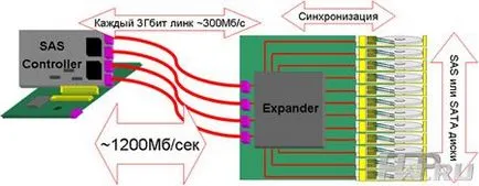 Дискови масиви и сървъри NAS proware