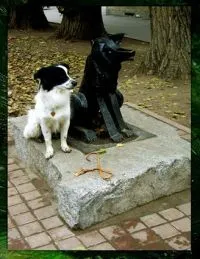 Паметник добро куче Gavryusha