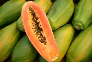 Papaya - előnyök és ártalmak a haj és az arc, hasznos és káros tulajdonságait papaya kivonat, jelzések és