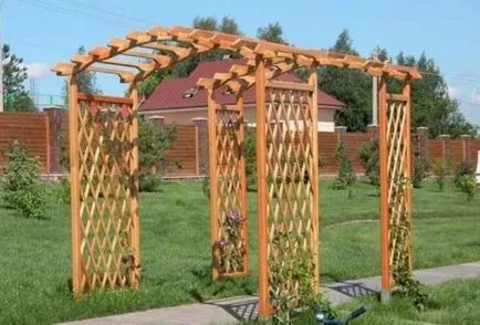 Pergola szőlő kezeddel (50 fotó) a pavilon, leírás, videó