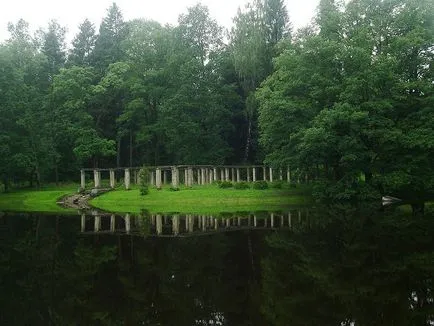 Pergola като подкрепа за лозя