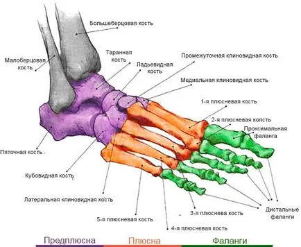 Счупване лечение петите, симптоми и първа помощ