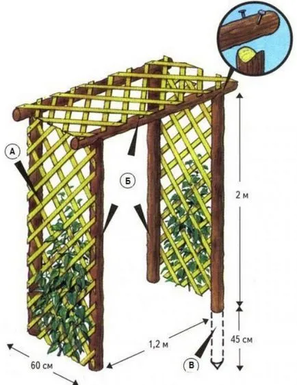 Pergola за грозде с ръцете си (50 снимки) на беседка, описание, видео