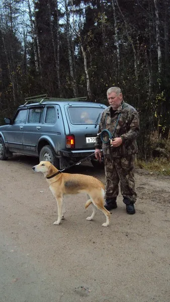 copoi St. Petersburg - Vezi subiect - cursa nord-vest de iepure de câmp Cainii Belyakov