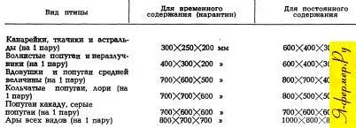 Пойни птици и декоративни птици у дома правила за поддръжка и заболяване