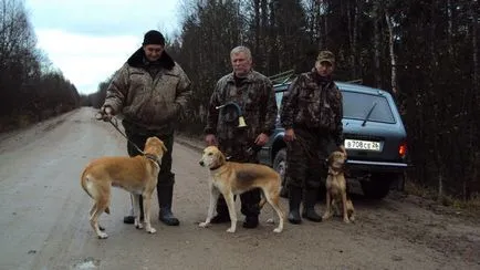 copoi St. Petersburg - Vezi subiect - cursa nord-vest de iepure de câmp Cainii Belyakov