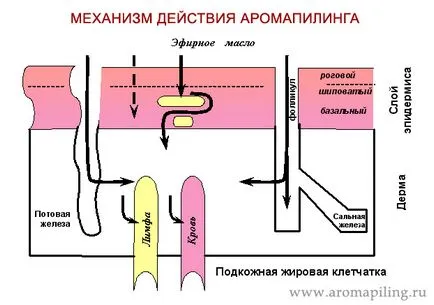 Пилинг aromapiling лице - лицето пилинг клиника