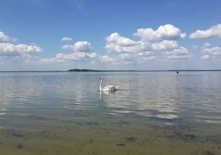 Beach hétvégén és a teljes szabadság a legjobb tó rekreációs Ukrajnában