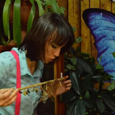 Развяващи красота изложба на живи пеперуди продължава в Хабаровск