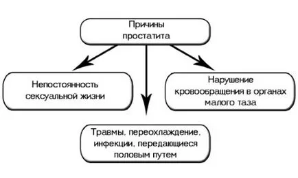 Hatásai az akut és krónikus prosztatitisz férfiaknál