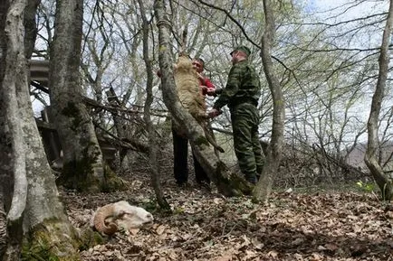 Православието с осетинския акцент православна списание - не скучно градина