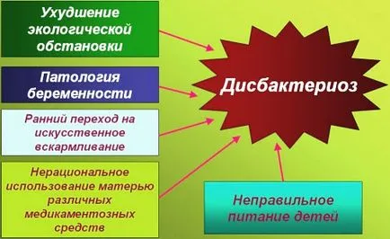 Предотвратяване на чревна дисбиоза в детето и възрастни, причините, популярните лечения