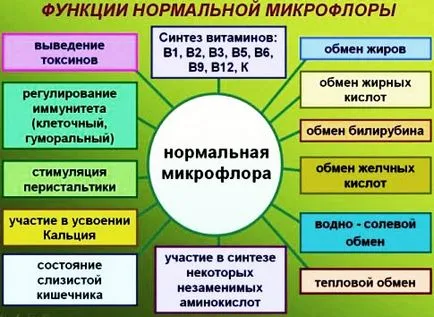 Предотвратяване на чревна дисбиоза в детето и възрастни, причините, популярните лечения