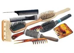 Combs haj