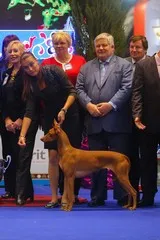 RKF - Federația Română canina, expoziții și concursuri, România, 2015 International