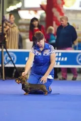 RKF - Federația Română canina, expoziții și concursuri, România, 2015 International