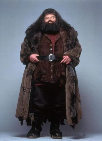 actorul Rubeus Hagrid și rolul său