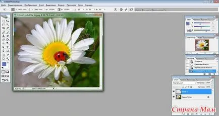 Aliasing Magnifier - Photoshop