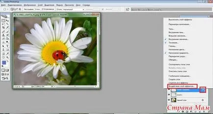 Aliasing Magnifier - Photoshop