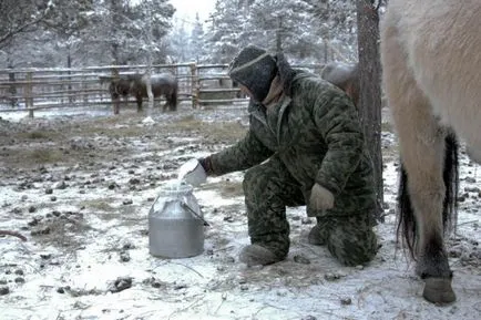 Доене кобили - дневник