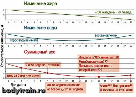 Platóeffektus fogyás - az okok, mint legyőzni a plató