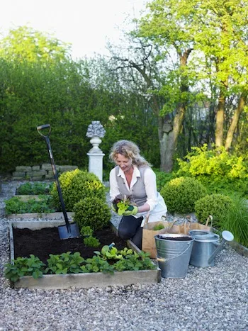 Градинарство - градински дизайн, занаяти с ръцете си, жените списание у дома