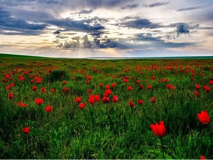 Cele mai frumoase locuri din Kalmikia (foto)