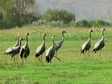 Cele mai frumoase locuri din Kalmikia (foto)