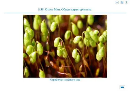 учители по биология Сайт MBOU лицей № 2 на град Воронеж