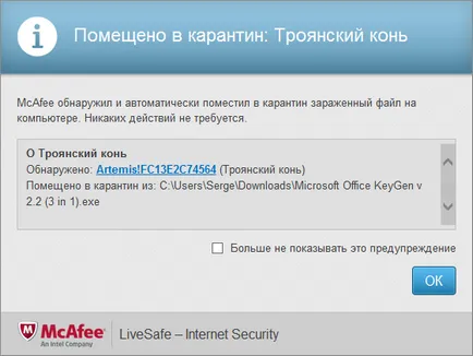 Сергей Shibayev - McAfee livesafe