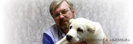 sindromul de ochi roșii la pisici și câini, clinica veterinara Bambi