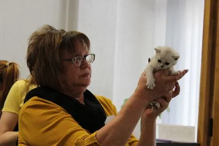 Cat крем на обществото се събраха в Бобруйск изложбена зала, Бобруйск