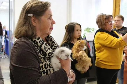 Cat krémet a társadalom összegyűlt Bobruisk Kiállítóterem, Bobruisk