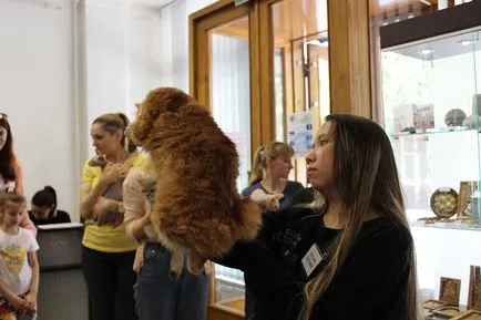 Cat krémet a társadalom összegyűlt Bobruisk Kiállítóterem, Bobruisk