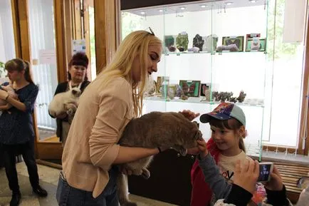 Cat krémet a társadalom összegyűlt Bobruisk Kiállítóterem, Bobruisk