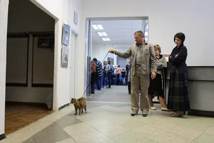 Cat krémet a társadalom összegyűlt Bobruisk Kiállítóterem, Bobruisk