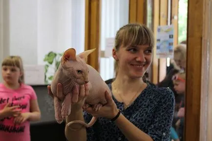 Cat krémet a társadalom összegyűlt Bobruisk Kiállítóterem, Bobruisk