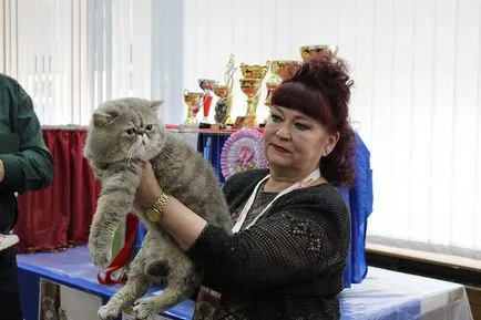 Cat crema societății au adunat în Bobruisk Exhibition Hall, Bobruisk