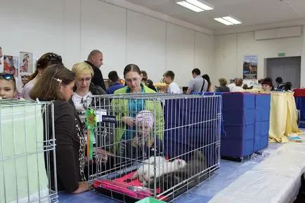 Cat crema societății au adunat în Bobruisk Exhibition Hall, Bobruisk