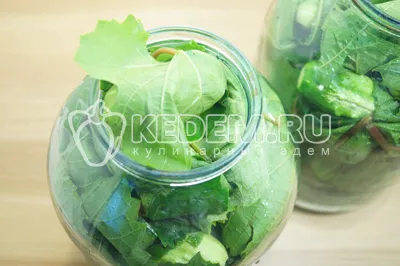 Pickles a levelek a szőlő, a lépésről lépésre recept fotókkal - üres